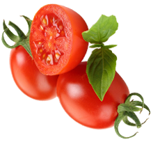 tomatto